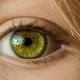 Illustration for article titled Brain-Destroying Prions Also Spread Through Victims Eyesem/em